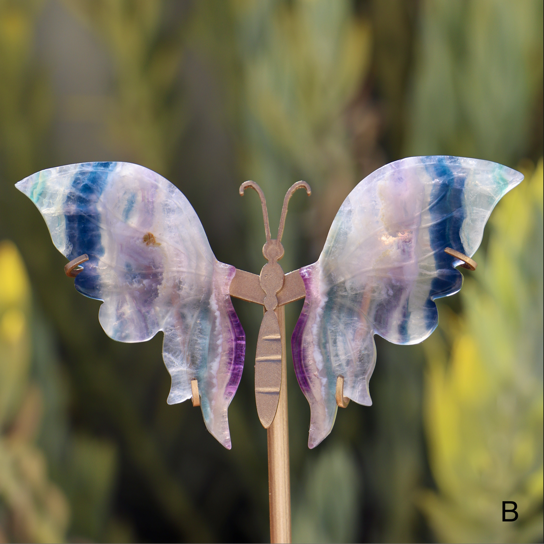 Fluorite Butterfly on Stand