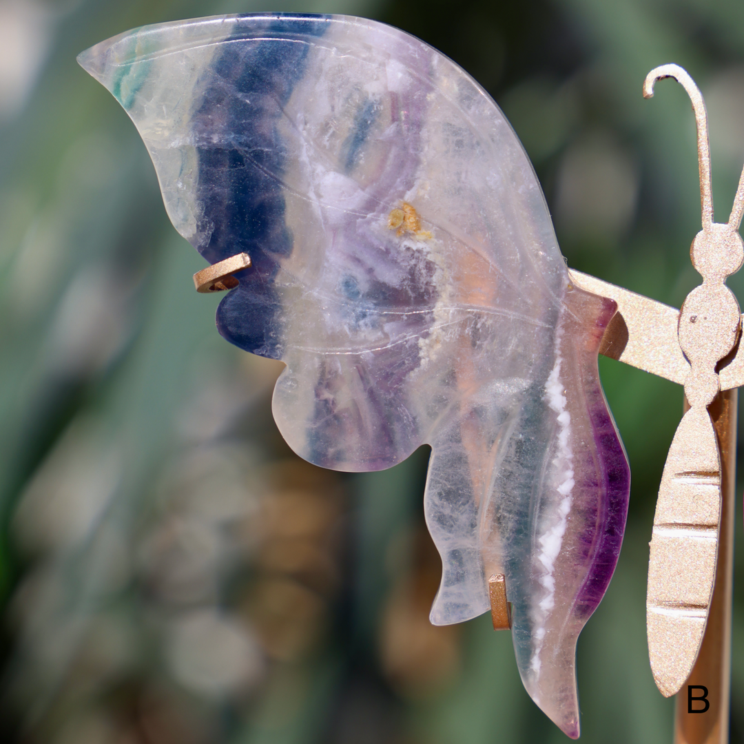 Fluorite Butterfly on Stand