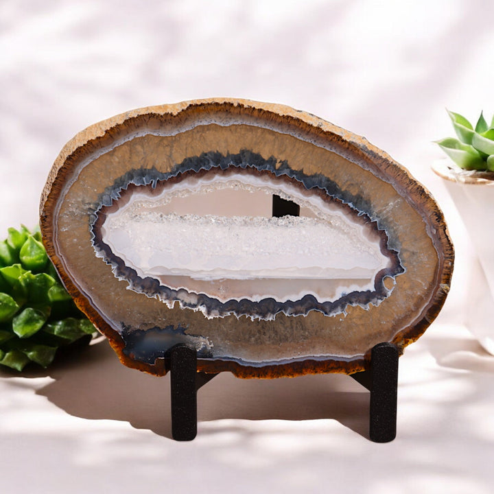 'Kelp Forest' Agate Stone Slices with Stand