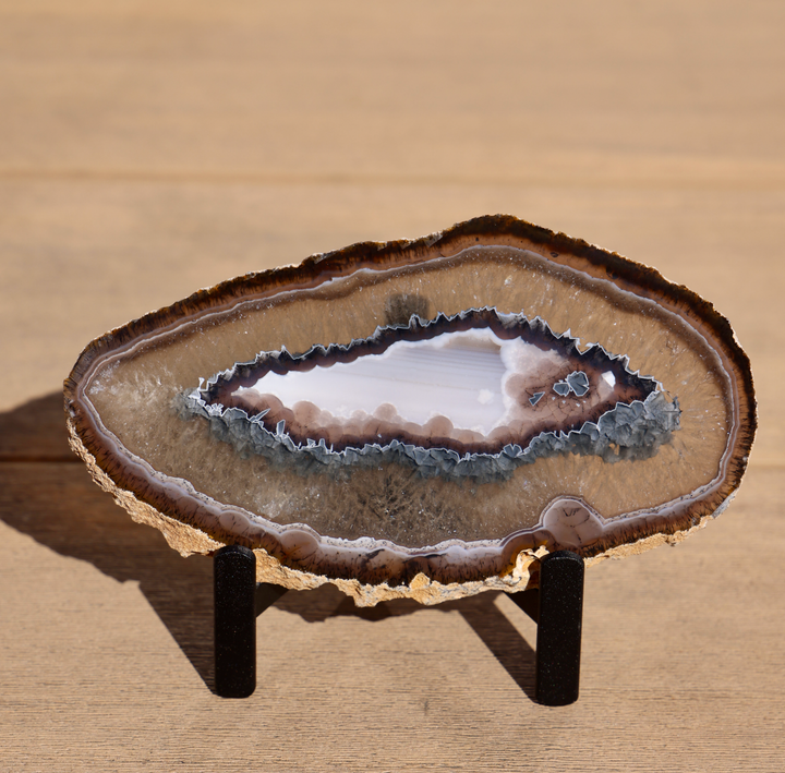 'Kelp Forest' Agate Stone Slices with Stand