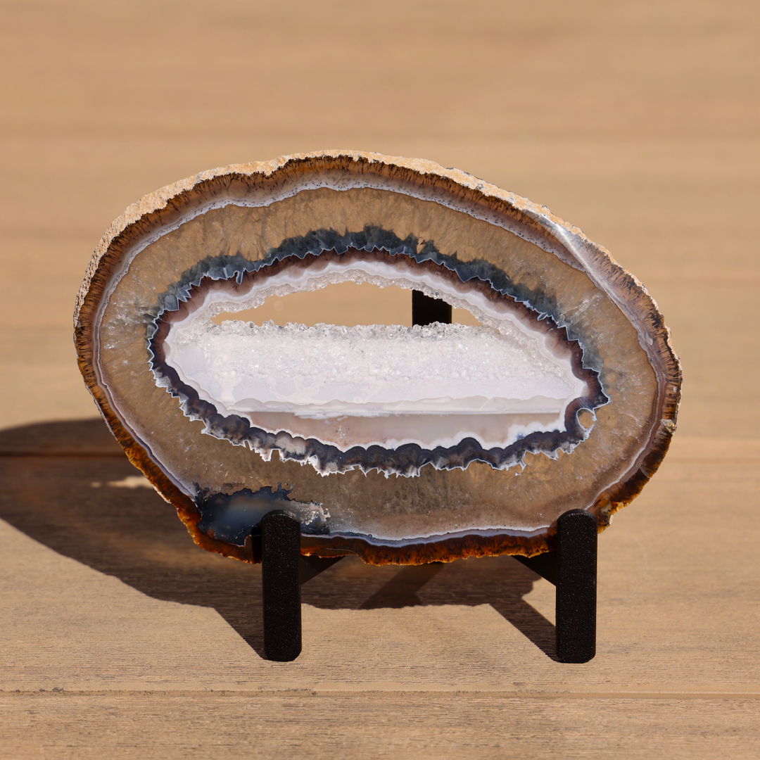 'Kelp Forest' Agate Stone Slices with Stand