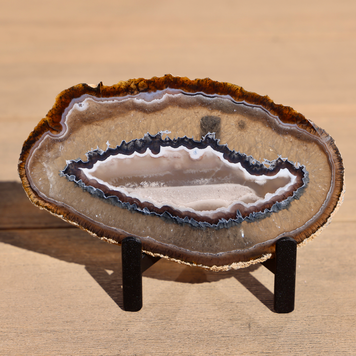 'Kelp Forest' Agate Stone Slices with Stand