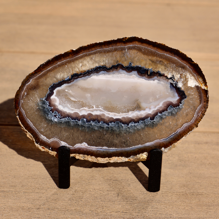 'Kelp Forest' Agate Stone Slices with Stand