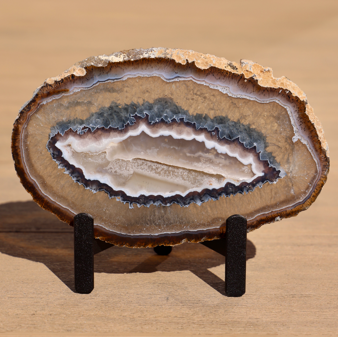 'Kelp Forest' Agate Stone Slices with Stand