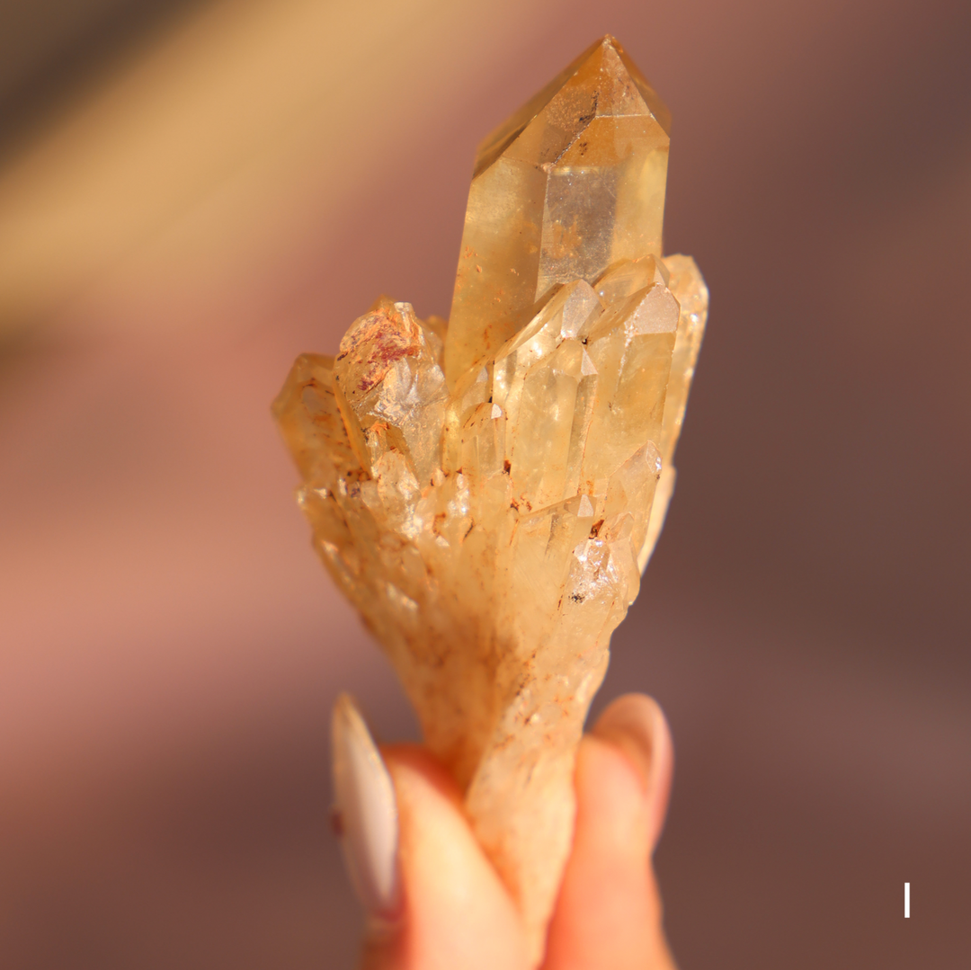 Raw Kundalini Citrine Cluster - Enchantia Muse