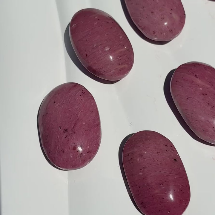 Australian Pink Petrified Wood Palm Stone