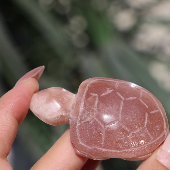 Sunstone Turtle