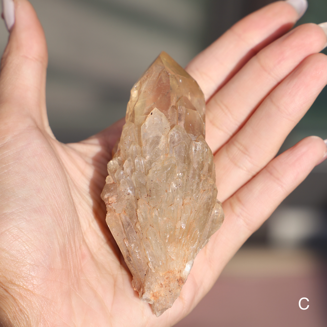 Raw Kundalini Citrine Cluster