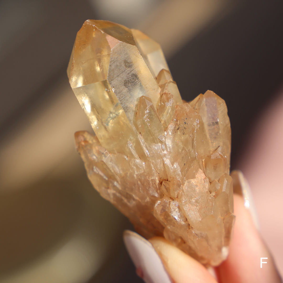 Raw Kundalini Citrine Cluster