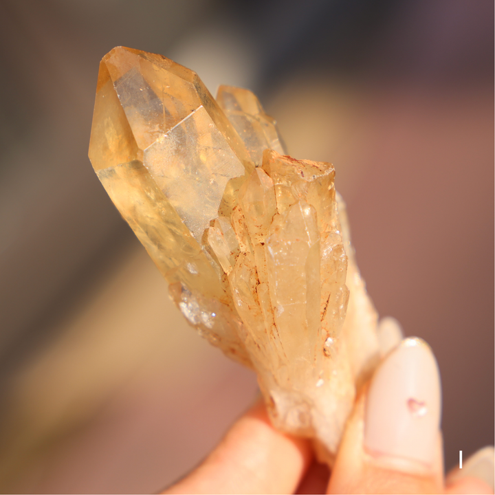 Raw Kundalini Citrine Cluster