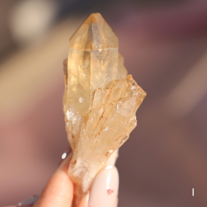 Raw Kundalini Citrine Cluster