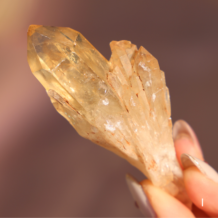 Raw Kundalini Citrine Cluster