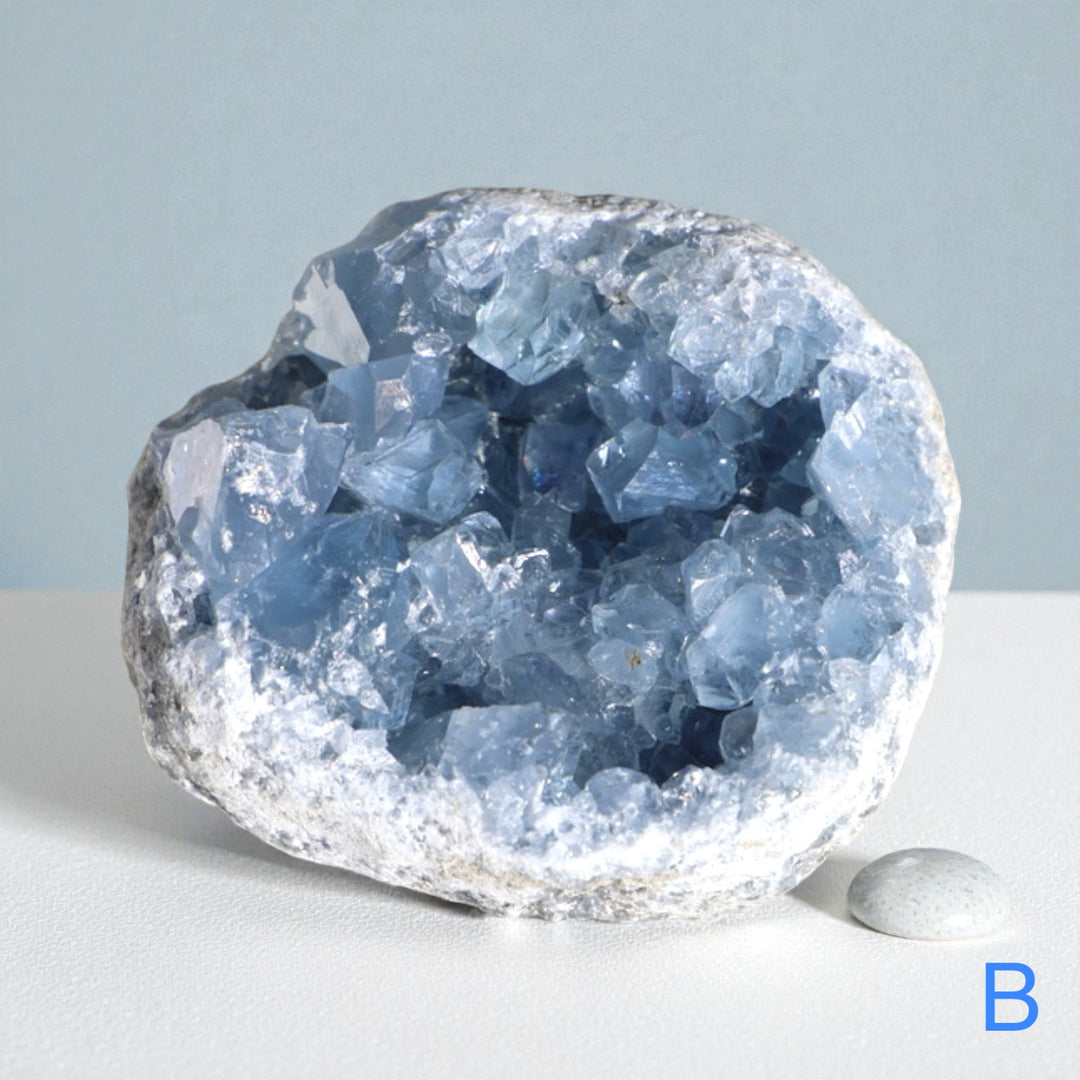 Celestite Geode