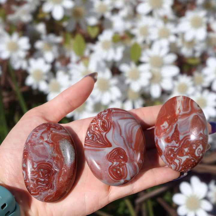 Rosetta Jasper Palm Stone